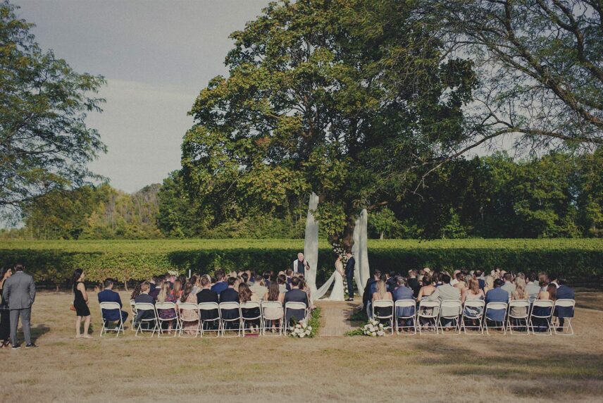 vineyard wedding reception at the hare wine co in niagara on the lake