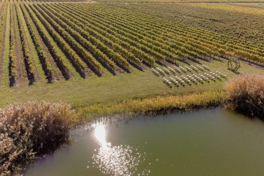 Pop-up wedding ceremony set up beside the Bella Terra Vineyards Pond.
