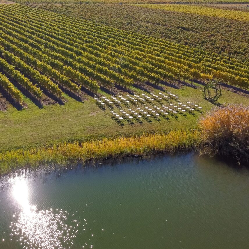 A wedding set up along the vineyards of Bella Terra Vineyards for a winery wedding in Niagara on the Lake