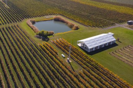 Overview of the vineyard and tent at Bella Terra Vineyards.