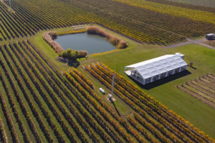 Bella Terra Vineyards, one of the best summer wedding venues in Ontario