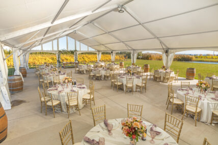 Bella Terra Vineyards wedding venue near Niagara on the Lake