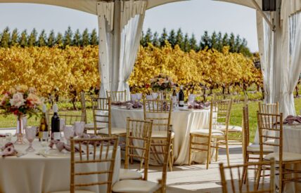 Dining tables set up at Bella Terra Vineyards winery wedding venue in Niagara on the Lake