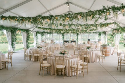 Bella Terra Vineyards, a fairytale outdoor wedding venue