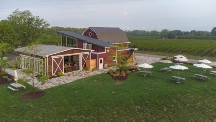 Cave Springs Vineyard, one of the best summer wedding venues in Ontario