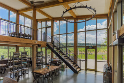 Cave Spring Vineyard wine tour.
