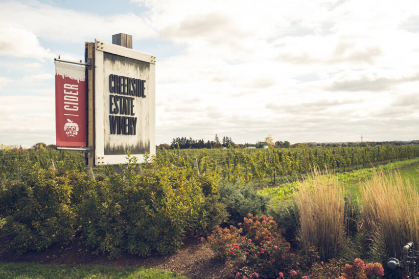 Vineyards at Creekside Estate Winery, a winery in the Niagara Benchlands