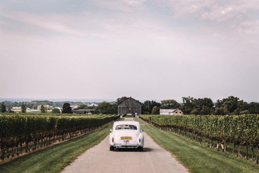 Wedding day transportation for guests.