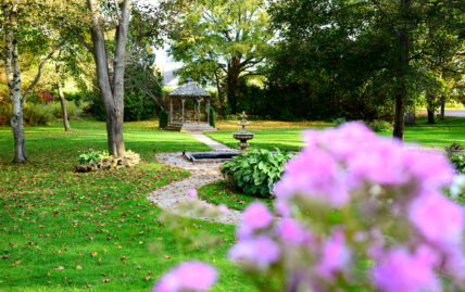 Practice mindfulness outdoors during a corporate retreat