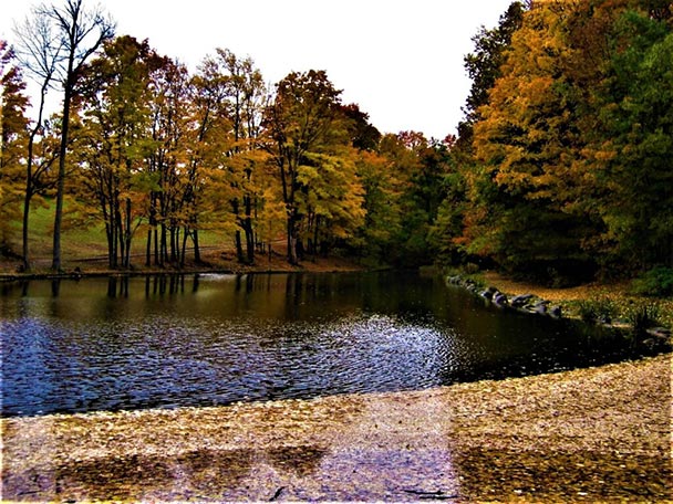 Flyfishing at Glen Haffy Conservation Area
