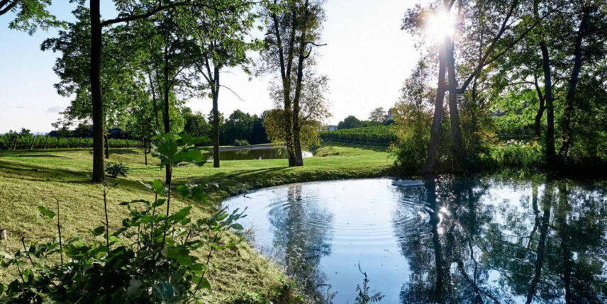 Hidden Bench, a winery in the Niagara Benchlands