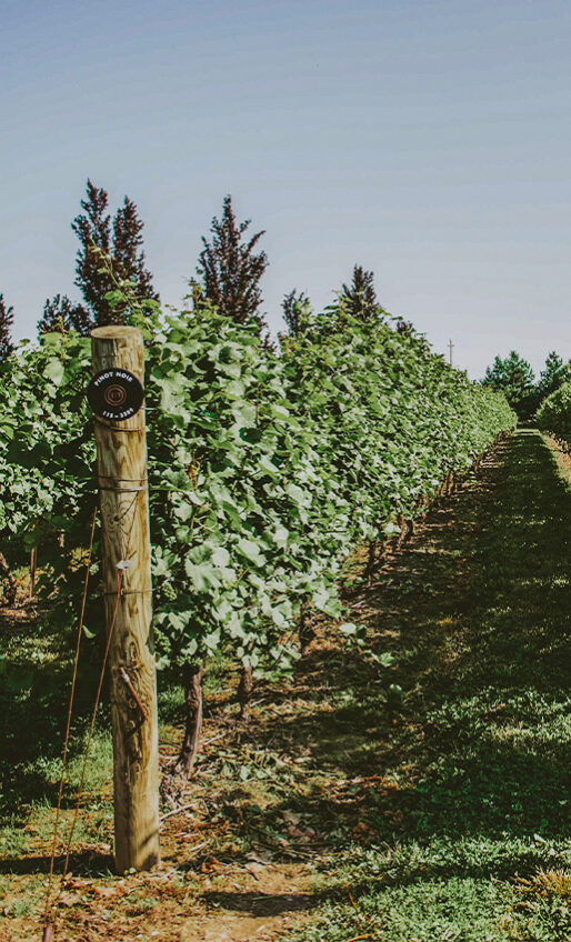 Scenic wine country meeting venue in Jordan, Ontario
