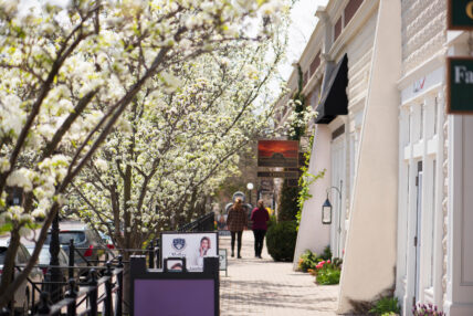 Spring Blossoms in Jordan Village.