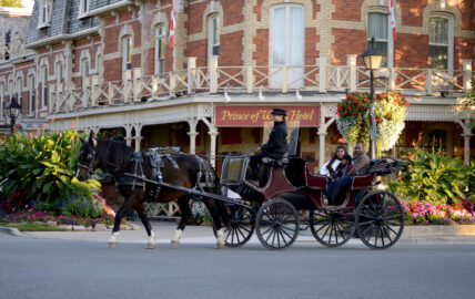 A horse drawn carriage touring Old Town Niagara on the Lake