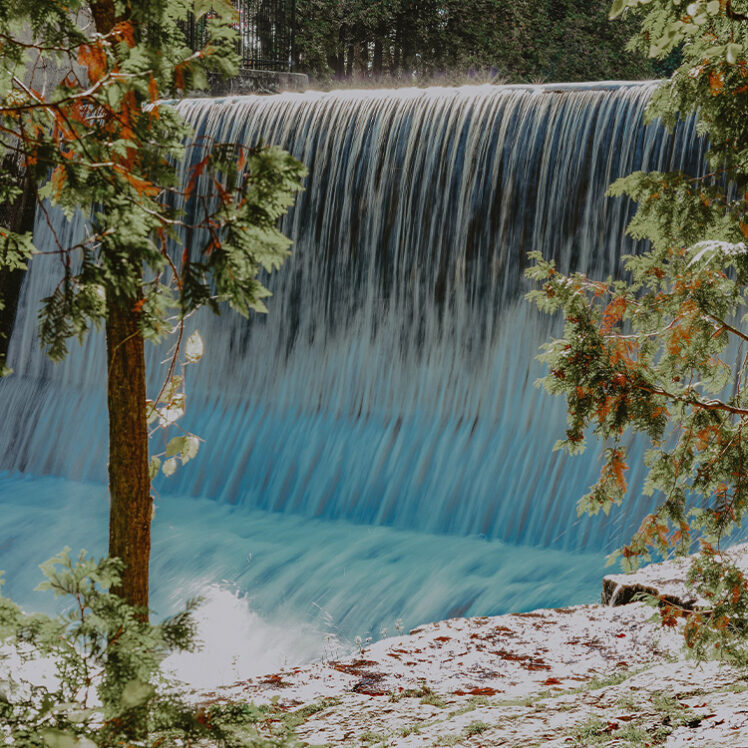 Natural amenities at Millcroft Inn & Spa in Caledon