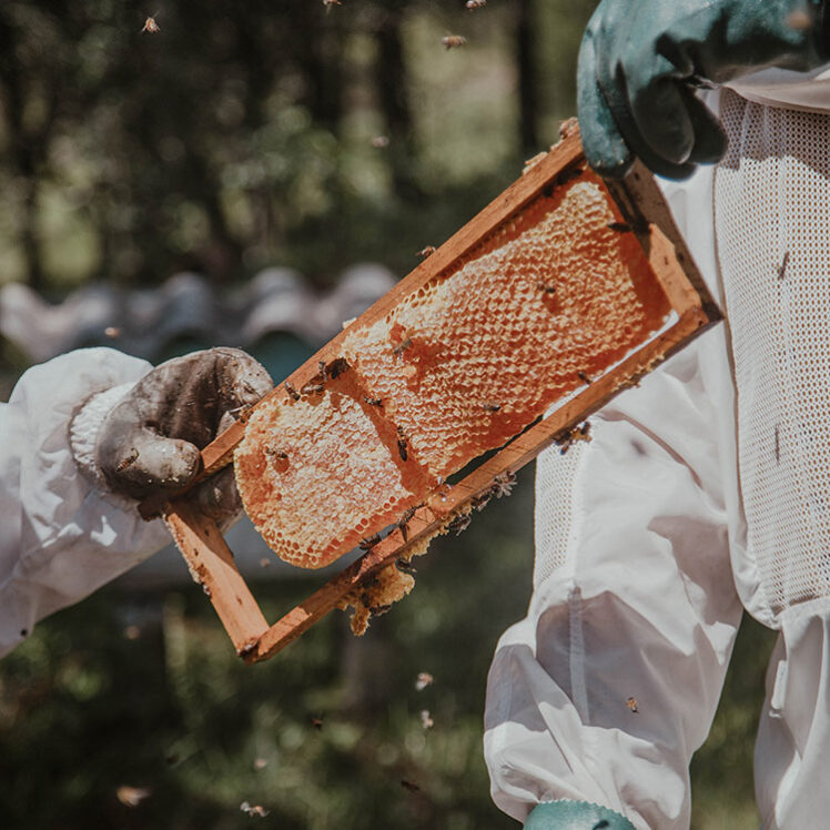 Honey-infused dining at Millcroft Inn & Spa