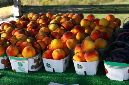 The Niagara-on-the-Lake Peach Festival