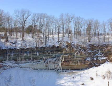 Forestry around Ball’s Falls Conservation Area in the Niagara Benchlands.