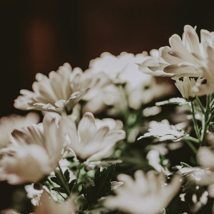 White flowers providing a rustic ambience at the Pillar & Post Hotel in Niagara-on-the-Lake