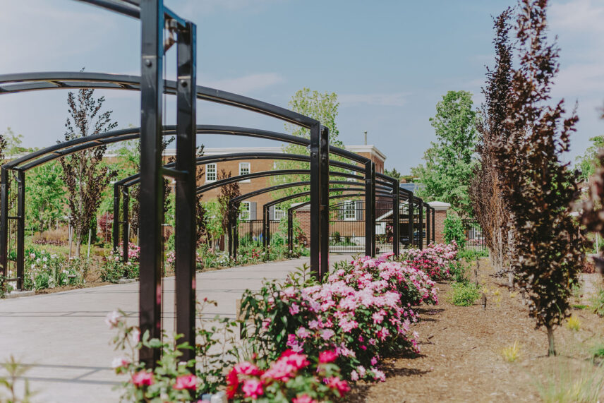 Blooming roses on a path leading into the Gardens at Pillar and Post