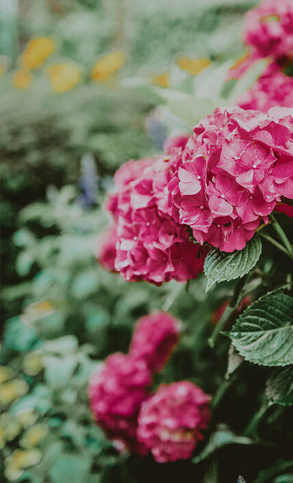 Wedding florals around The Gardens at Pillar and Post in Niagara-on-the-Lake.