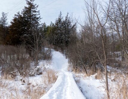 Short Hills Provincial Park covered in snow in Jordan, Ontario.