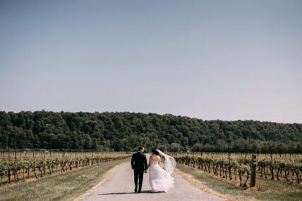 Newlyweds walking through Cave Spring Vineyards in Jordan Village.