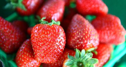 Niagara-on-the-Lake Strawberry Festival