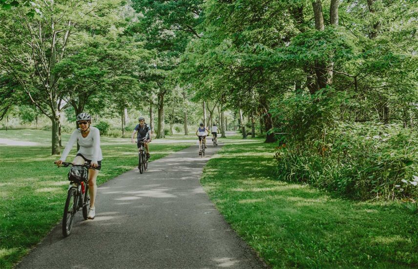 Find rental bikes and other things to do in Niagara on the Lake