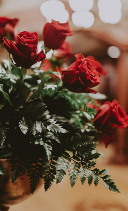Red roses - Vintage Hotels