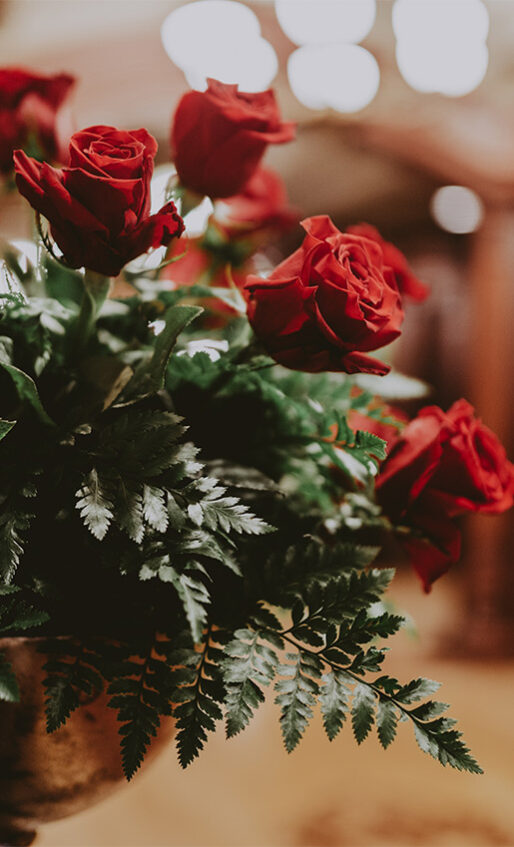 Red roses - Vintage Hotels