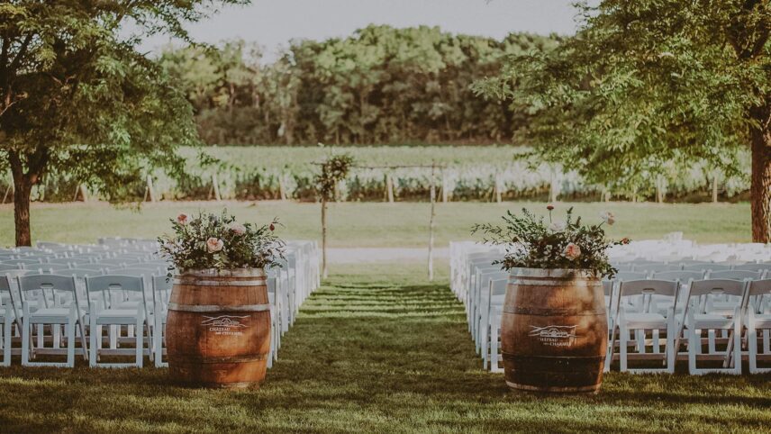 vineyard wedding ceremony at chateau des charmes in niagara on the lake