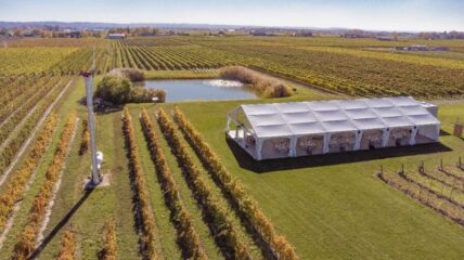 A wedding tent set up at Bella Terra Vineyards in Niagara-on-the-Lake.
