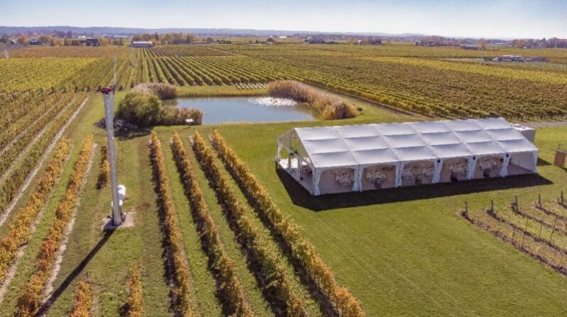 A wedding tent set up at Bella Terra Vineyards in Niagara-on-the-Lake.