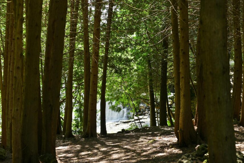 A hiking trail outside of Millcroft Inn & Spa in Caledon, Ontario.