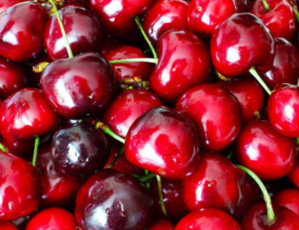 Fresh cherries at the Niagara on the Lake Cherry Festival